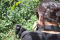 3 Days 2 Nights Bwindi Forest National Park Safari