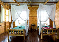 2 Days 1 Night Chimpanzee Tracking Safari Budongo Forest Reserve