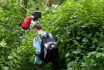 2 Days 1 Night Chimpanzee Tracking Safari Budongo Forest Reserve