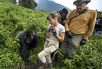 Uganda Safari Holidays Tours Trips 3 Days 2 Nights 