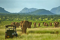 Elephant Watch Camp Samburu