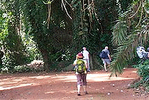 2 Days 1 Night Entebbe Tour Uganda