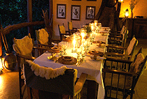 Kitich Camp Mathews Forests