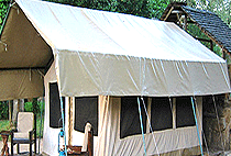 Kitich Camp Mathews Forest