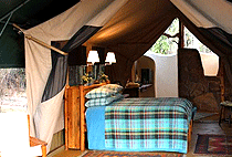 Kitich Camp Mathews Forests