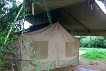 Lion King Bush Camp Samburu
