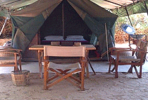 Lion King Bush Camp Samburu