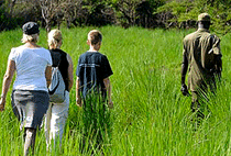 2 Days Murchison Falls Safari Ziwa Rhino Sanctuary Tour