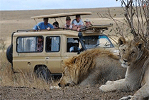 3 Days 2 Nights Murchison Falls National Park Safari