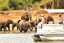 Uganda Safari Holidays Tours Trips 3 Days 2 Nights 