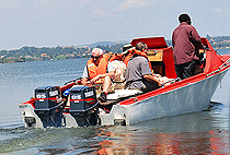 2 Days 1 Night Ngamba Island Chimpanzee Sanctuary Safari