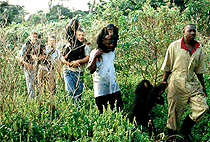 2 Days 1 Night Ngamba Island Chimpanzee Sanctuary Safari