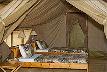 2 Days 1 Night Ngamba Island Chimpanzee Sanctuary Safari