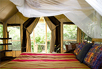 2 Days 1 Night Kibale National Park Chimpanzee Safari