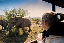 3 Days 2 Nights Queen Elizabeth National Park Safari