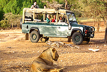 Samburu Intrepids Tented Camp