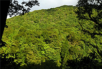 2 Days 1 Night Entebbe Tour Uganda