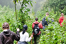 4 Day Lake Mburo Safari Bwindi Forest Gorilla Trekking Tour 4 Day Lake Mburo Safari Bwindi Forest Gorilla Trekking Tour