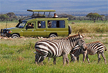 4 Day Lake Mburo Safari Bwindi Forest Gorilla Trekking Tour 4 Day Lake Mburo Safari Bwindi Forest Gorilla Trekking Tour