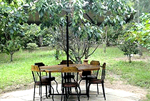 Moof Africa Organic Hostel Camp Nanyuki Moof Africa Organic Hostel Camp Nanyuki