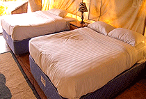 Spice Garden Resort Nanyuki Spice Garden Resort Nanyuki