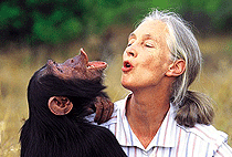 5 Days 4 Nights Uganda Gorilla Trekking Tours Wildlife Safaris 5 Days 4 Nights Uganda Gorilla Trekking Tours Wildlife Safaris