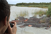 5 Day Uganda Safari Lake Mburo Bwindi Gorilla Queen Elizabeth 5 Day Uganda Safari Lake Mburo Bwindi Gorilla Queen Elizabeth