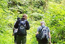 5 Days 4 Nights Queen Elizabeth Kibale Forest Uganda Safari 5 Days 4 Nights Queen Elizabeth Kibale Forest Uganda Safari