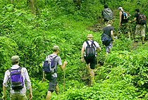 6 Days 5 Nights Uganda Safari Chimpanzee Wildlife Tour 6 Days 5 Nights Uganda Safari Chimpanzee Wildlife Tour