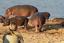 6 Days 5 Nights Uganda Safaris Gorilla Trekking Wildlife Tours 6 Days 5 Nights Uganda Safaris Gorilla Trekking Wildlife Tours