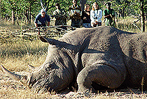 6 Days 5 Nights Uganda Safaris Gorilla Trekking Wildlife Tours 6 Days 5 Nights Uganda Safaris Gorilla Trekking Wildlife Tours