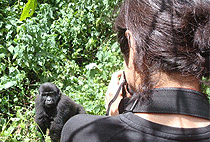5 Days 4 Nights Uganda Rwanda Gorilla Safari 5 Days 4 Nights Uganda Rwanda Gorilla Safari