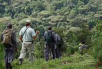 5 Days 4 Nights Uganda Rwanda Gorilla Safari 5 Days 4 Nights Uganda Rwanda Gorilla Safari