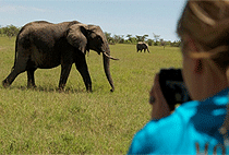 5 Days 4 Nights Uganda Safari Kidepo Murchison Falls Tour 5 Days 4 Nights Uganda Safari Kidepo Murchison Falls Tour