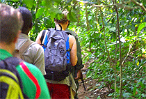 5 Days Uganda Safari Murchison Falls Kibale National Park 5 Days Uganda Safari Murchison Falls Kibale National Park