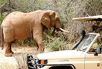 5 Days 4 Nights Kidepo National Park Uganda Safari 5 Days 4 Nights Kidepo National Park Uganda Safari