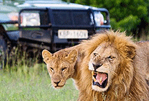 5 Days 4 Nights Kidepo National Park Uganda Safari 5 Days 4 Nights Kidepo National Park Uganda Safari