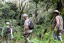 Climb Mount Meru 1 Day Hike Miriakamba Hut 2514M Climb Mount Meru 1 Day Hike Miriakamba Hut 2514M