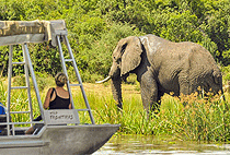 5 Days Uganda Safari Murchison Falls Kibale National Park 5 Days Uganda Safari Murchison Falls Kibale National Park