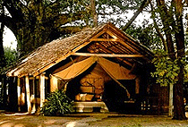 Tsavo Safari Camp Tsavo Safari Camp