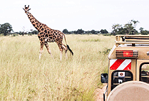 Voi Safari Lodge Tsavo East National Park Voi Safari Lodge Tsavo East National Park