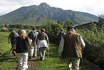 5 Days 4 Nights Uganda Rwanda Gorilla Safari 5 Days 4 Nights Uganda Rwanda Gorilla Safari