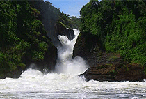 6 Days 5 Nights Uganda Wildlife Safari Chimpanzee Gorilla Trekking 6 Days 5 Nights Uganda Wildlife Safari Chimpanzee Gorilla Trekking