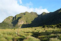 Elephant Hill Aberdare National Park Nairobi 1 Day Tour Elephant Hill Aberdare National Park Nairobi 1 Day Tour