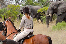 Arijiju Retreat Holiday Home Borana Conservancy Laikipia Plateau Arijiju Retreat Holiday Home Borana Conservancy Laikipia Plateau