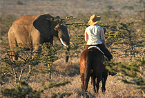 Borana Lodge Borana Conservancy Laikipia Plateau Borana Lodge Borana Conservancy Laikipia Plateau