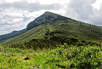 Elephant Hill Aberdare National Park Nairobi 1 Day Tour Elephant Hill Aberdare National Park Nairobi 1 Day Tour