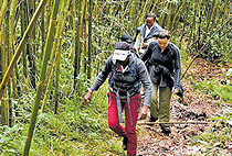 Elephant Hill Aberdare National Park Nairobi 1 Day Tour Elephant Hill Aberdare National Park Nairobi 1 Day Tour