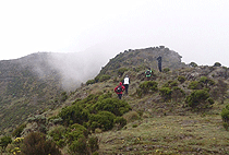 Elephant Hill Aberdare National Park Nairobi 1 Day Tour Elephant Hill Aberdare National Park Nairobi 1 Day Tour