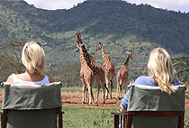Enasoit Camp Enasoit Game Sanctuary Laikipia Plateau Enasoit Camp Enasoit Game Sanctuary Laikipia Plateau